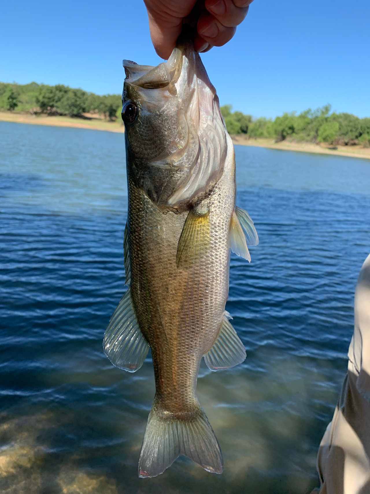 Little Off Lake House