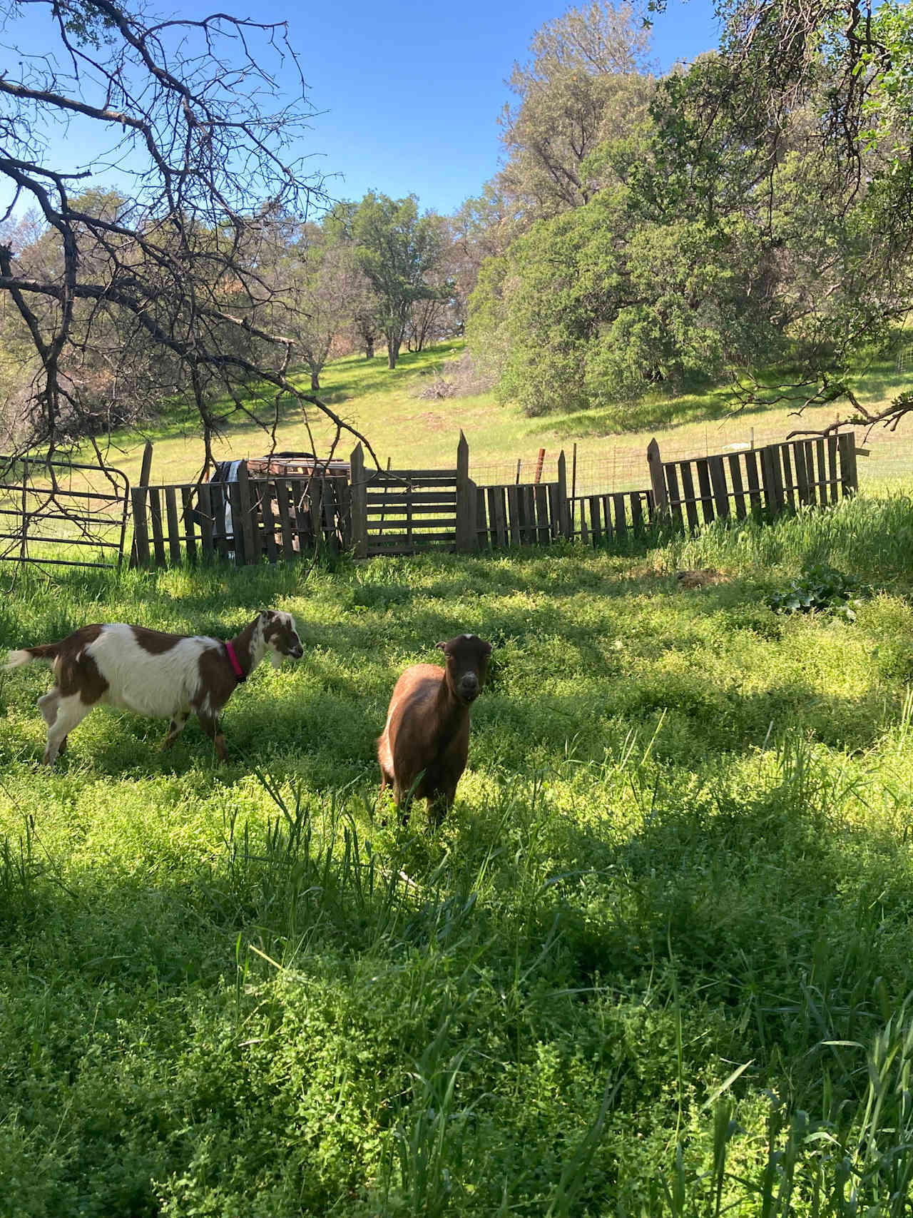 Tanahashi Farm