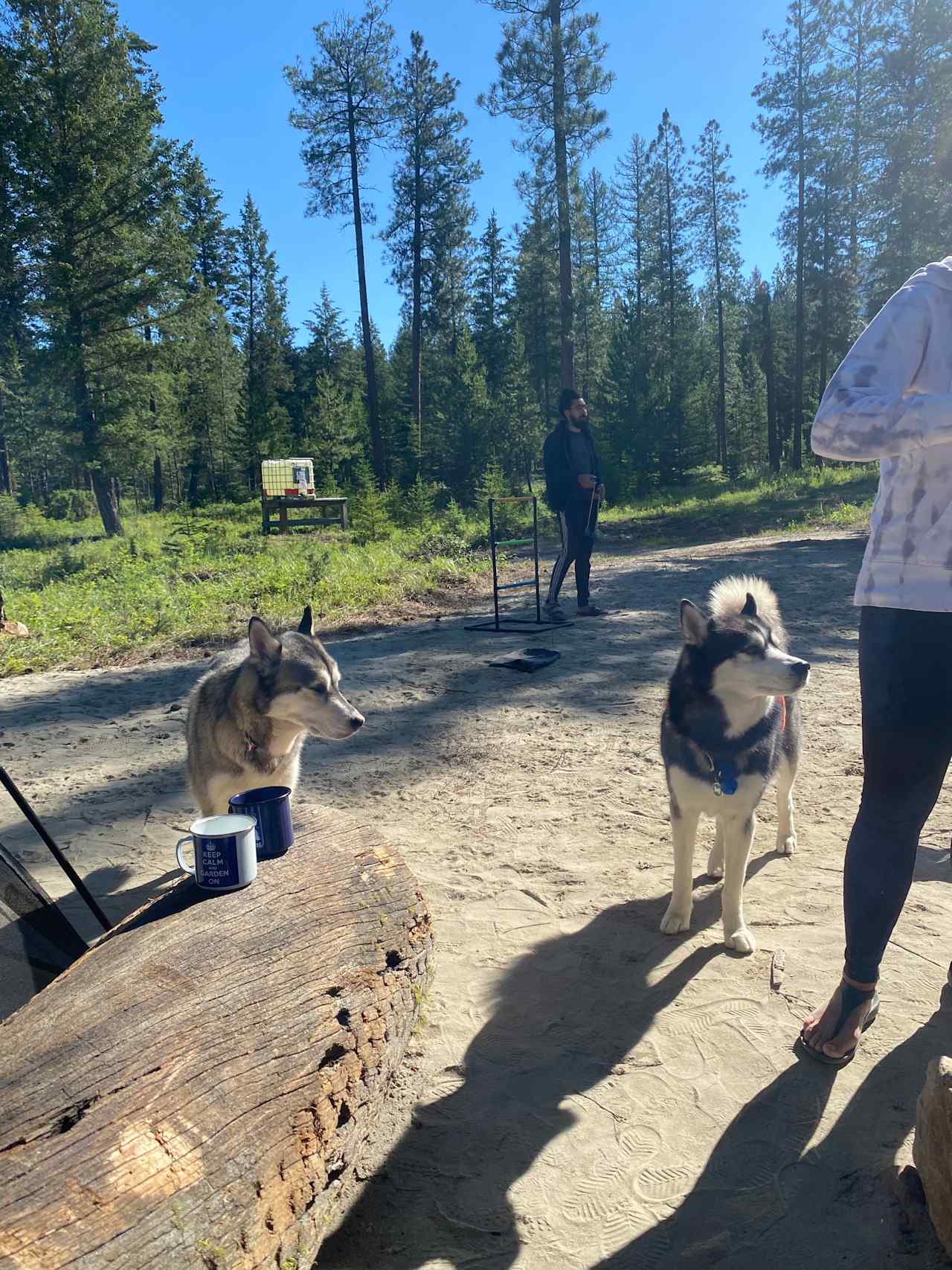 Blacksmith Landing Eco Camp