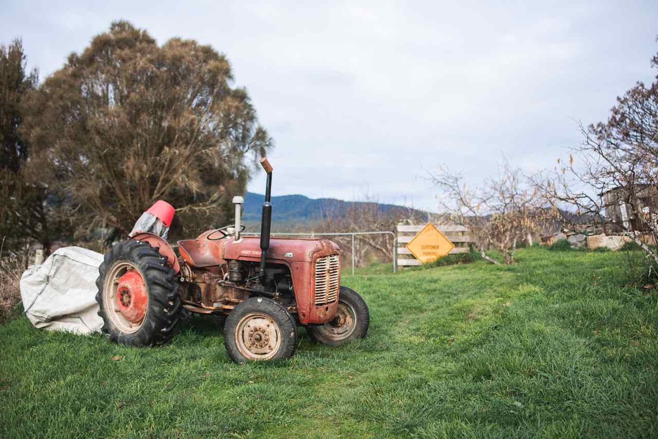 View at the beginning of the farm