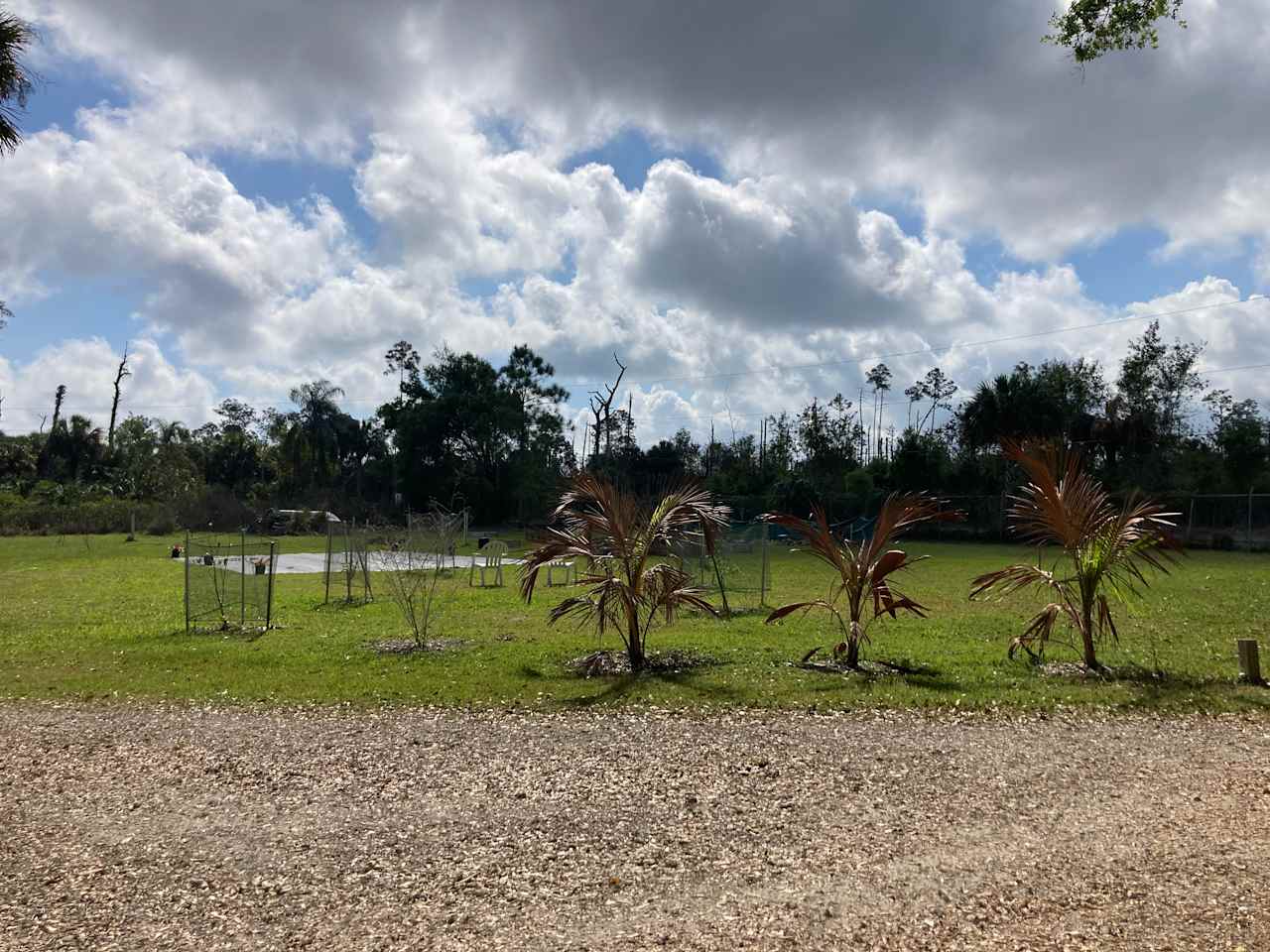 River and Rain Nursery and Farm