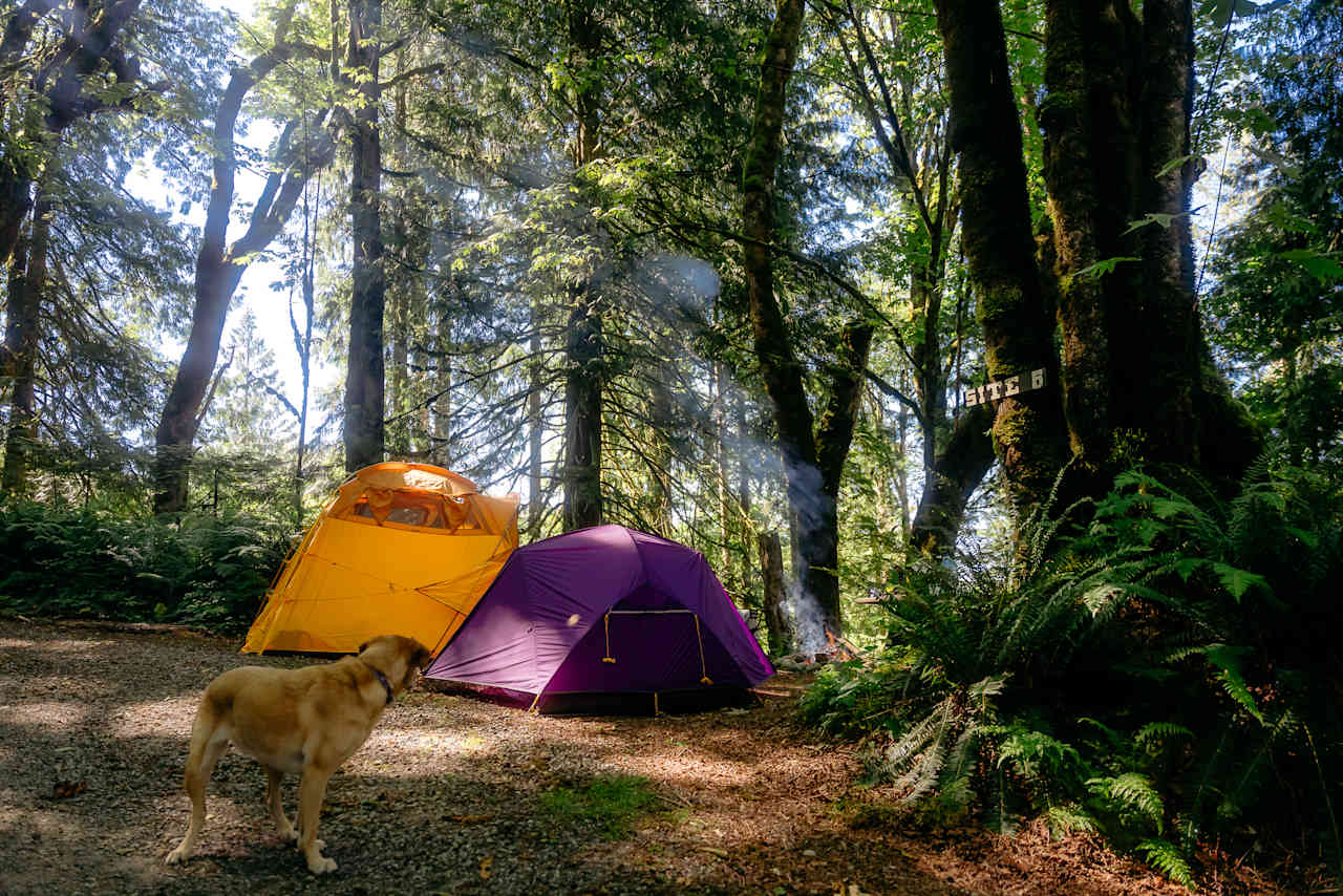 Campsite in the morning