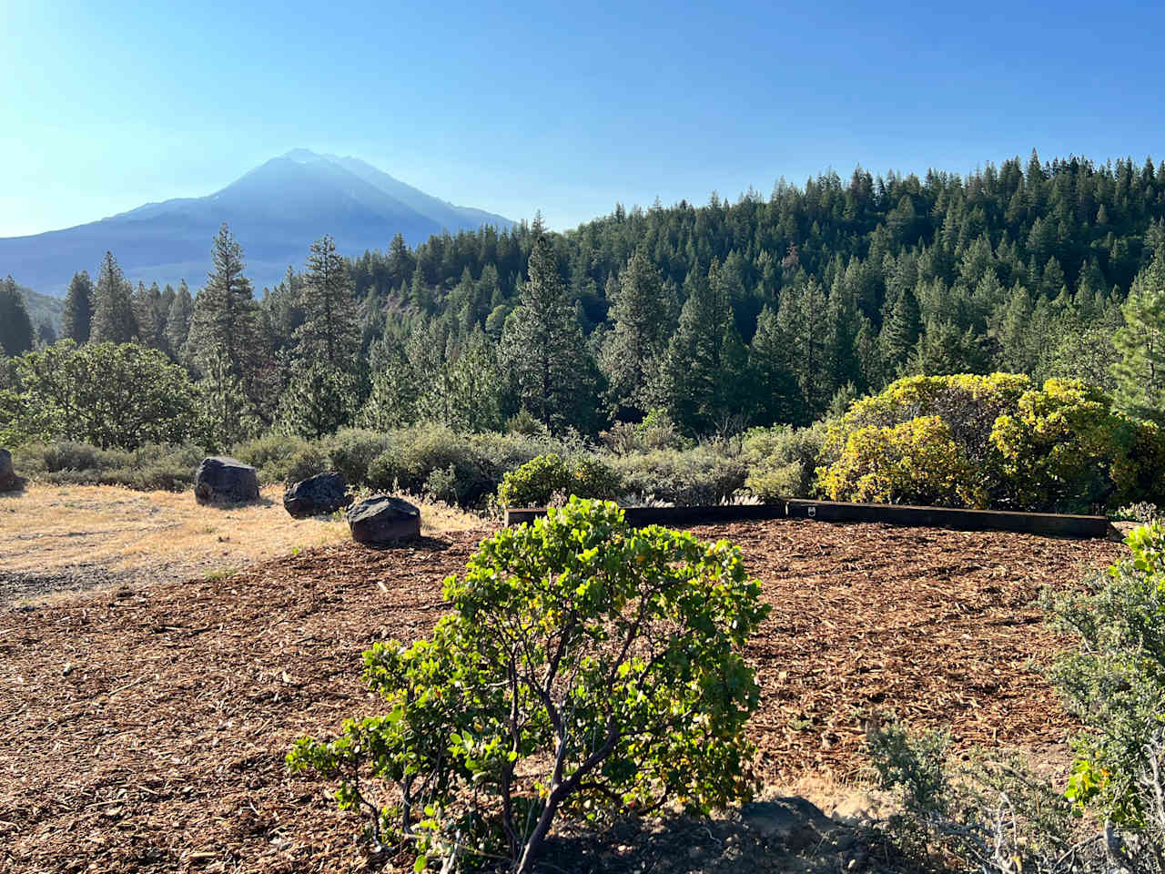 T5 Tent site on Chaparral Loop