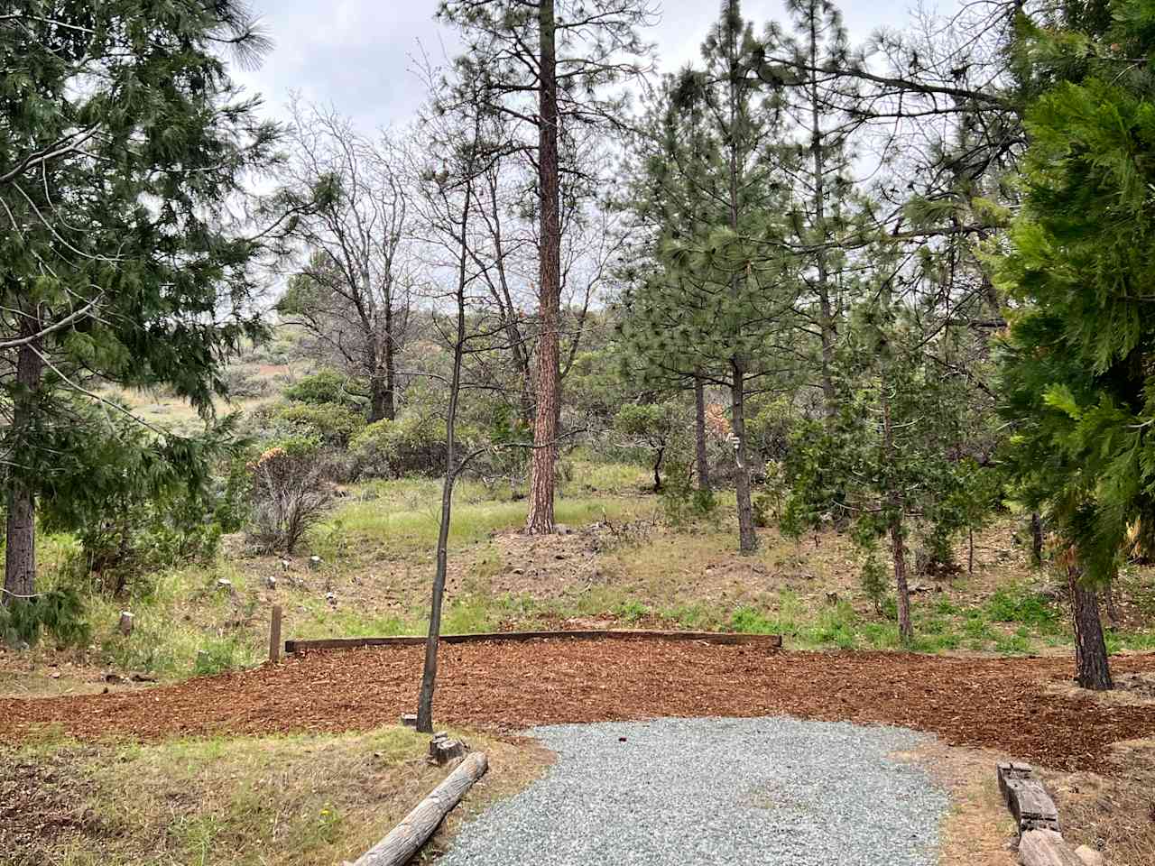 T1 Tent site on Conifer Loop