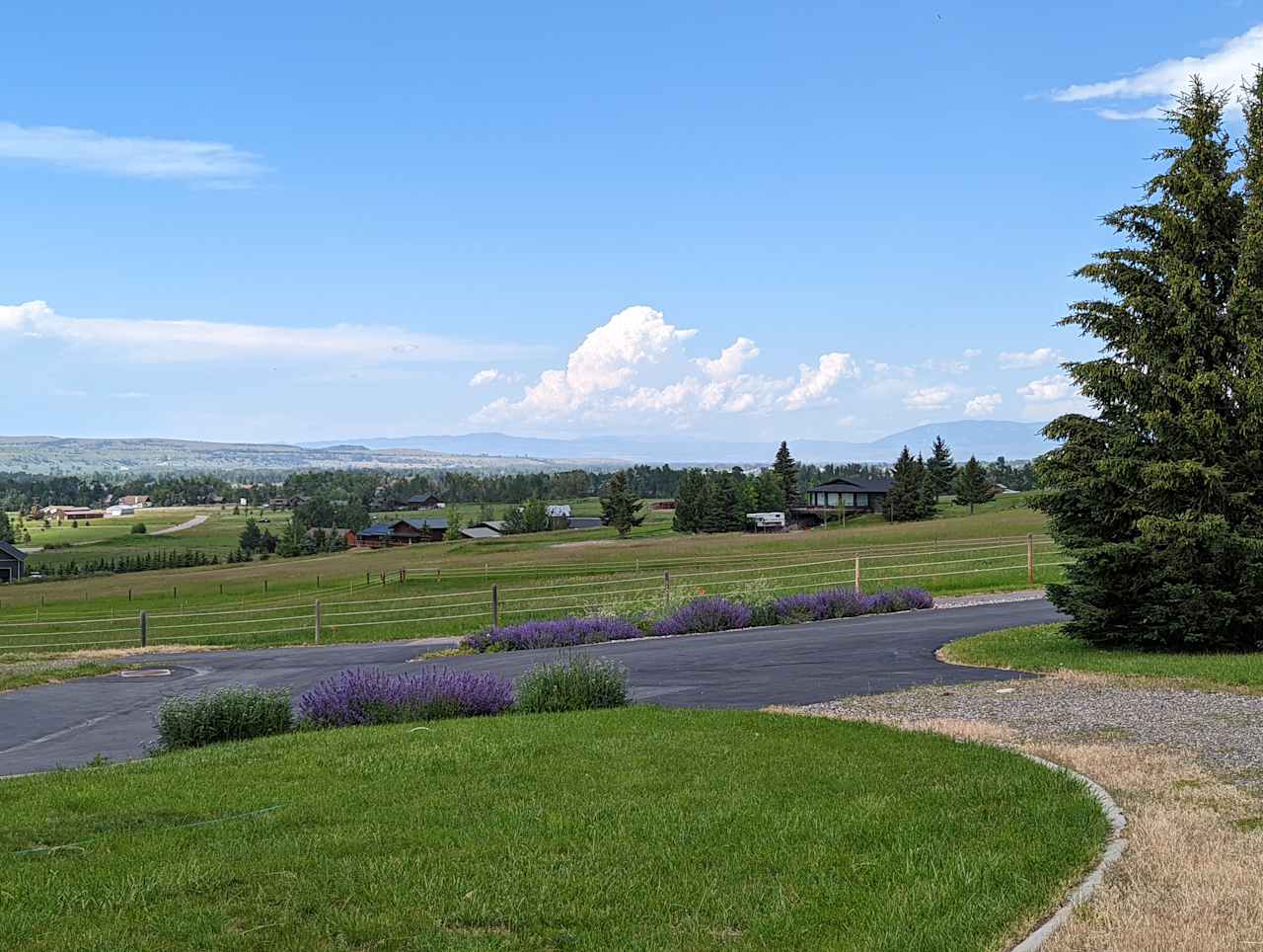 Driveway flowers and view north