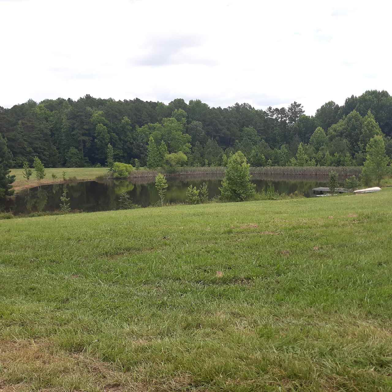 Purple Martin Farm