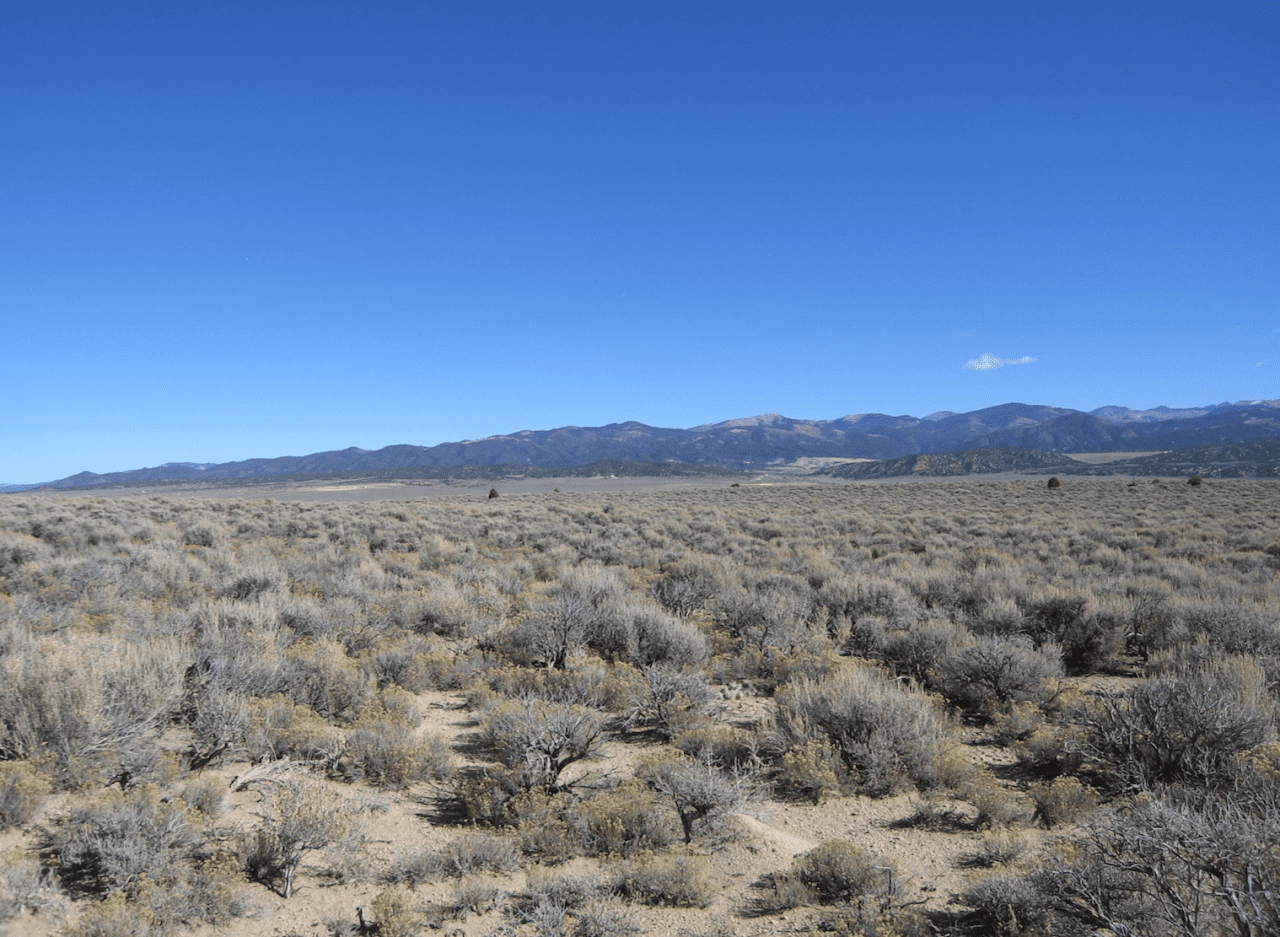 Light Mind Mountains - Sangre De