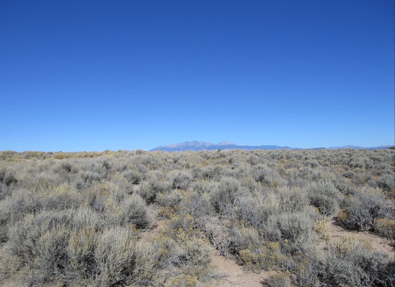 Light Mind Mountains - Sangre De