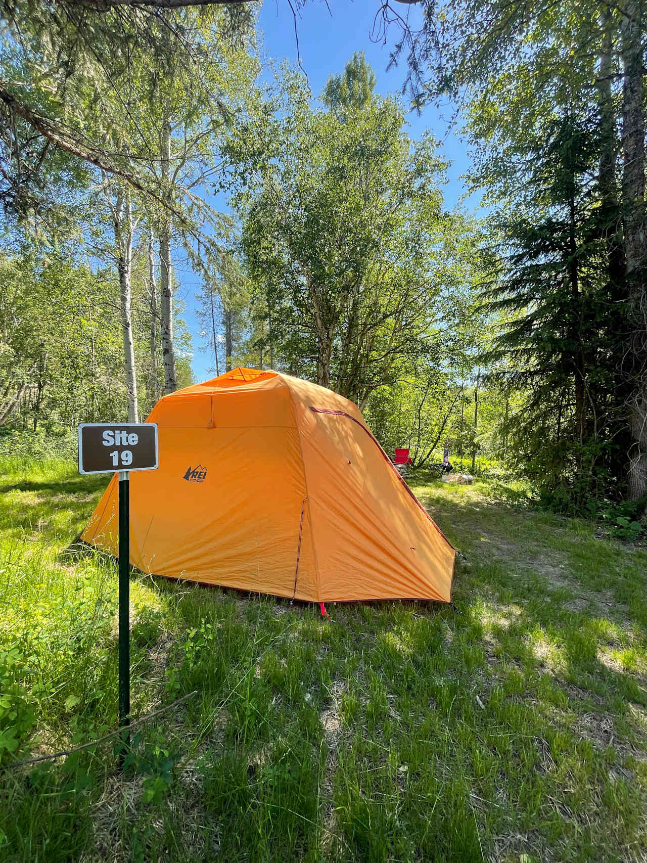 Site 19