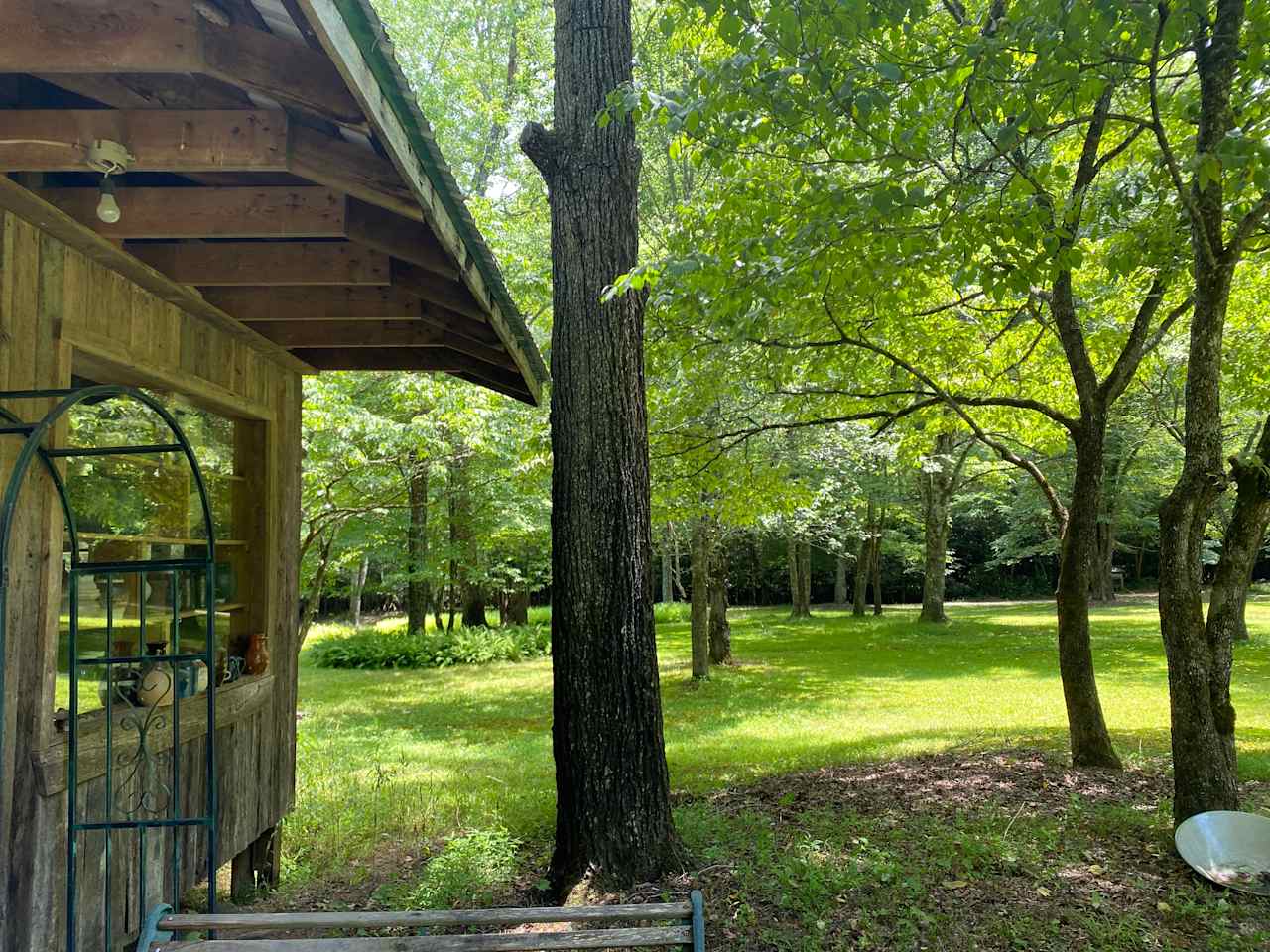 Pottery shed and Patti and Doug’s yard.  Which they allow you to stroll 