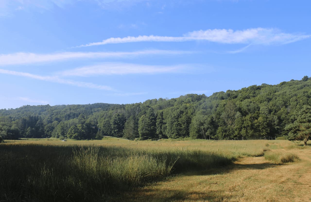 Camping along the Dyberry Creek