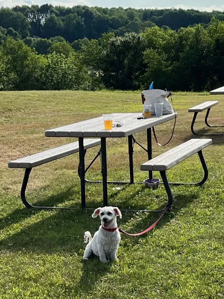 Second District Brew Farm