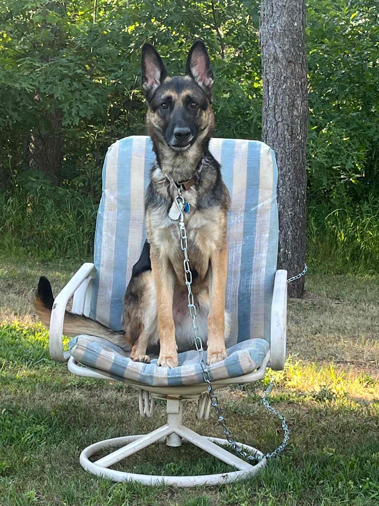 Chairs provided for guests which means less to pack up! 