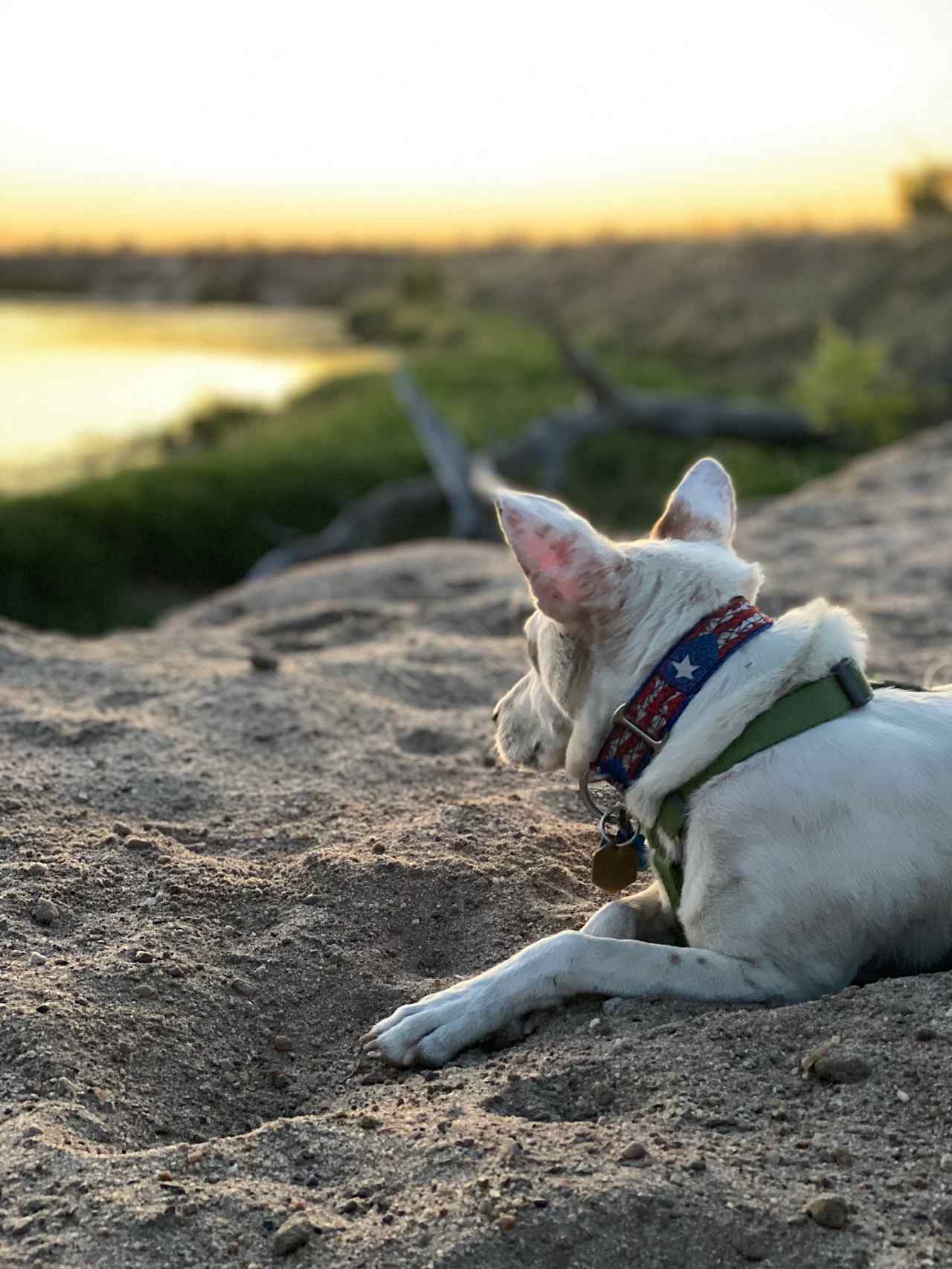 Lake Mac Camping