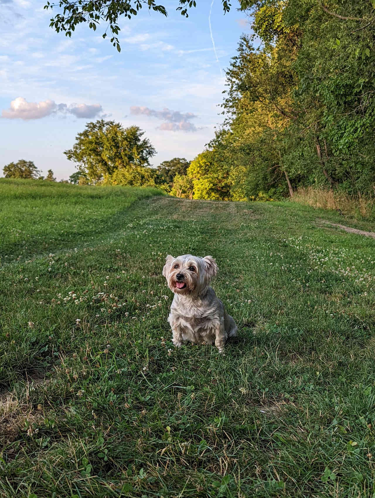 Wallkill River Camping