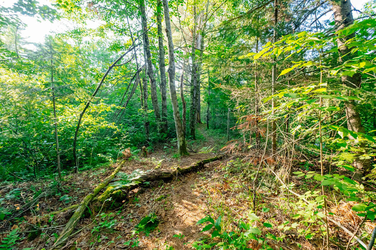 hike to falls