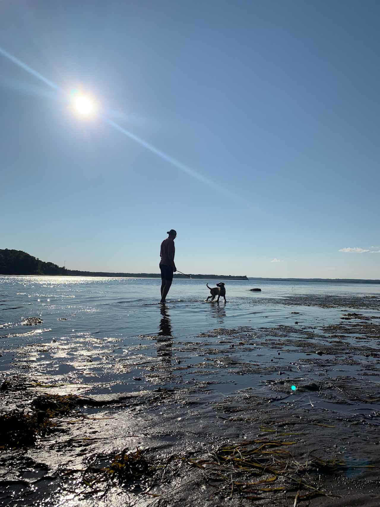 Sand Point RV Camping and Tenting