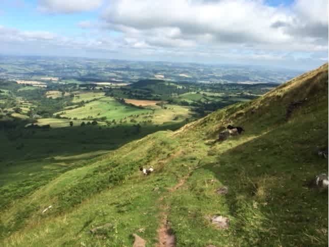 Pentwyn Dingle and Lodge Field Camp