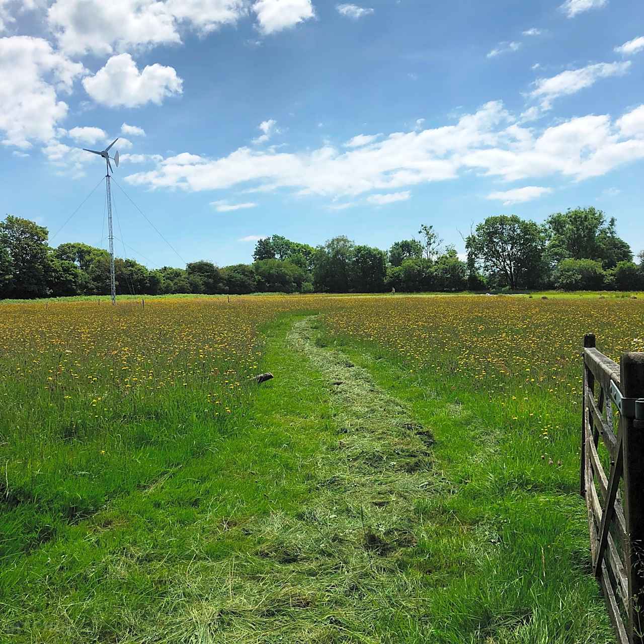 Camping Meadow with wind Turbine looking East