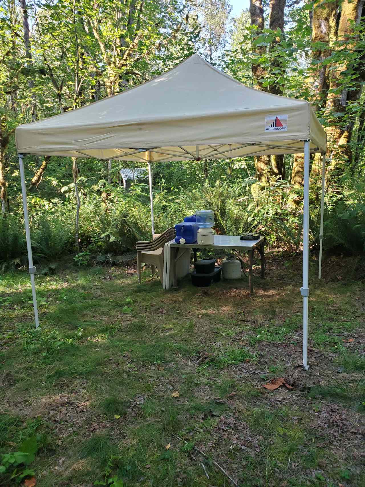 Pop up canopy with basic amenities 