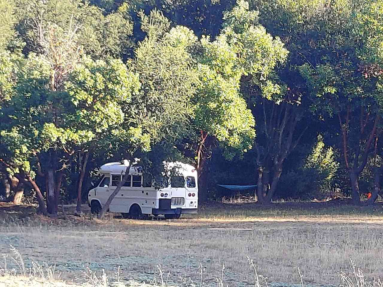 Felton Open Space Camp Sites