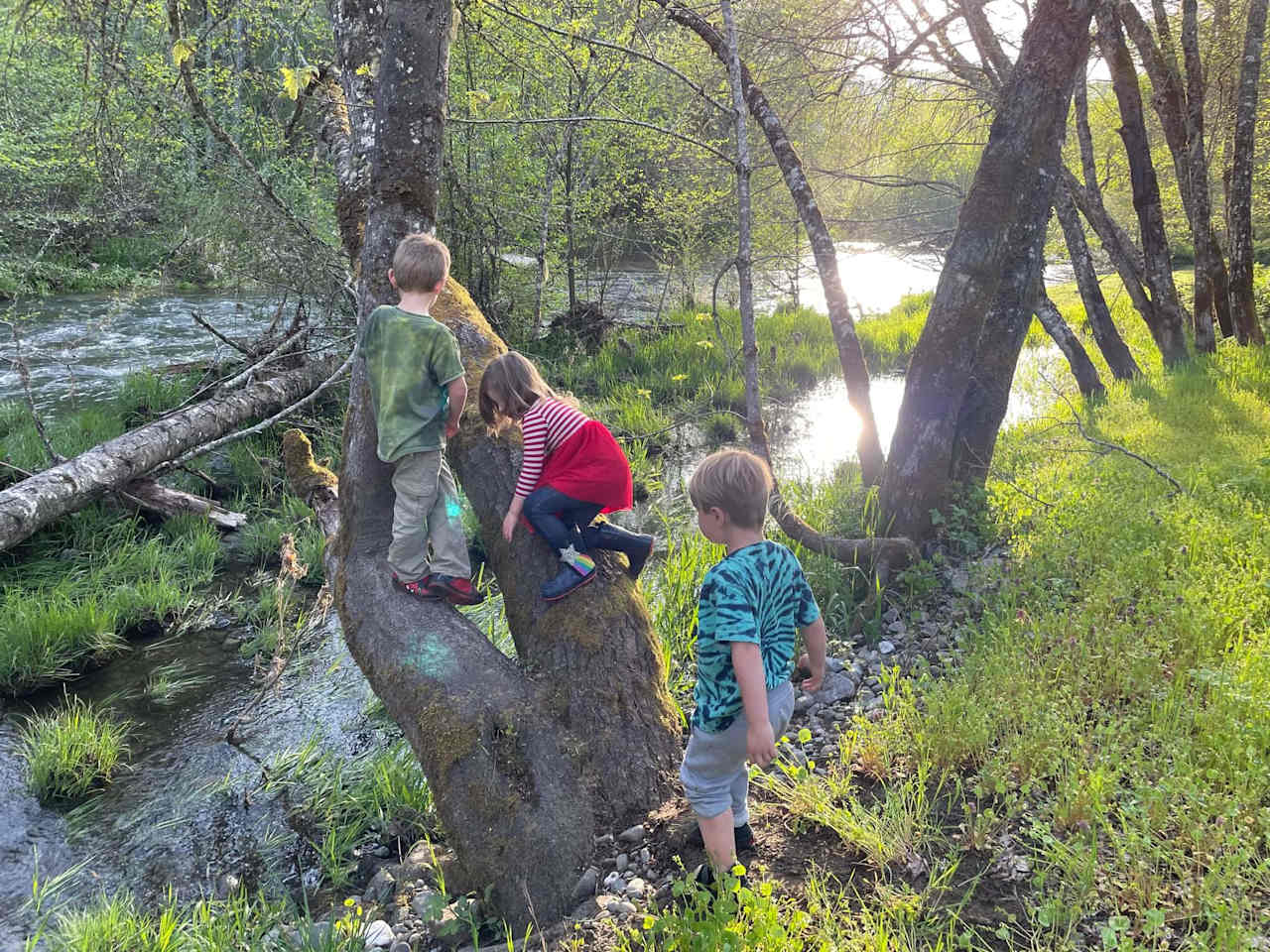 Creekside Paradise