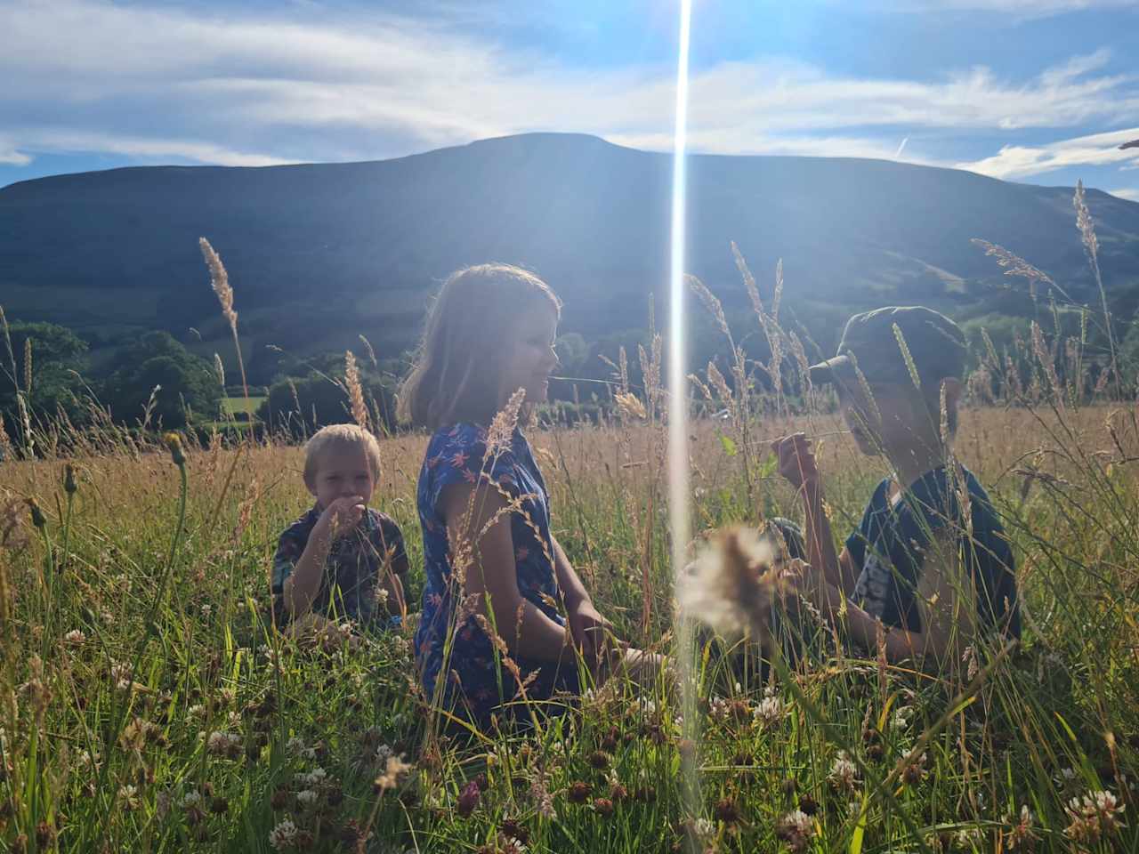 Huge wildflower meadows to lie, laze and play in!