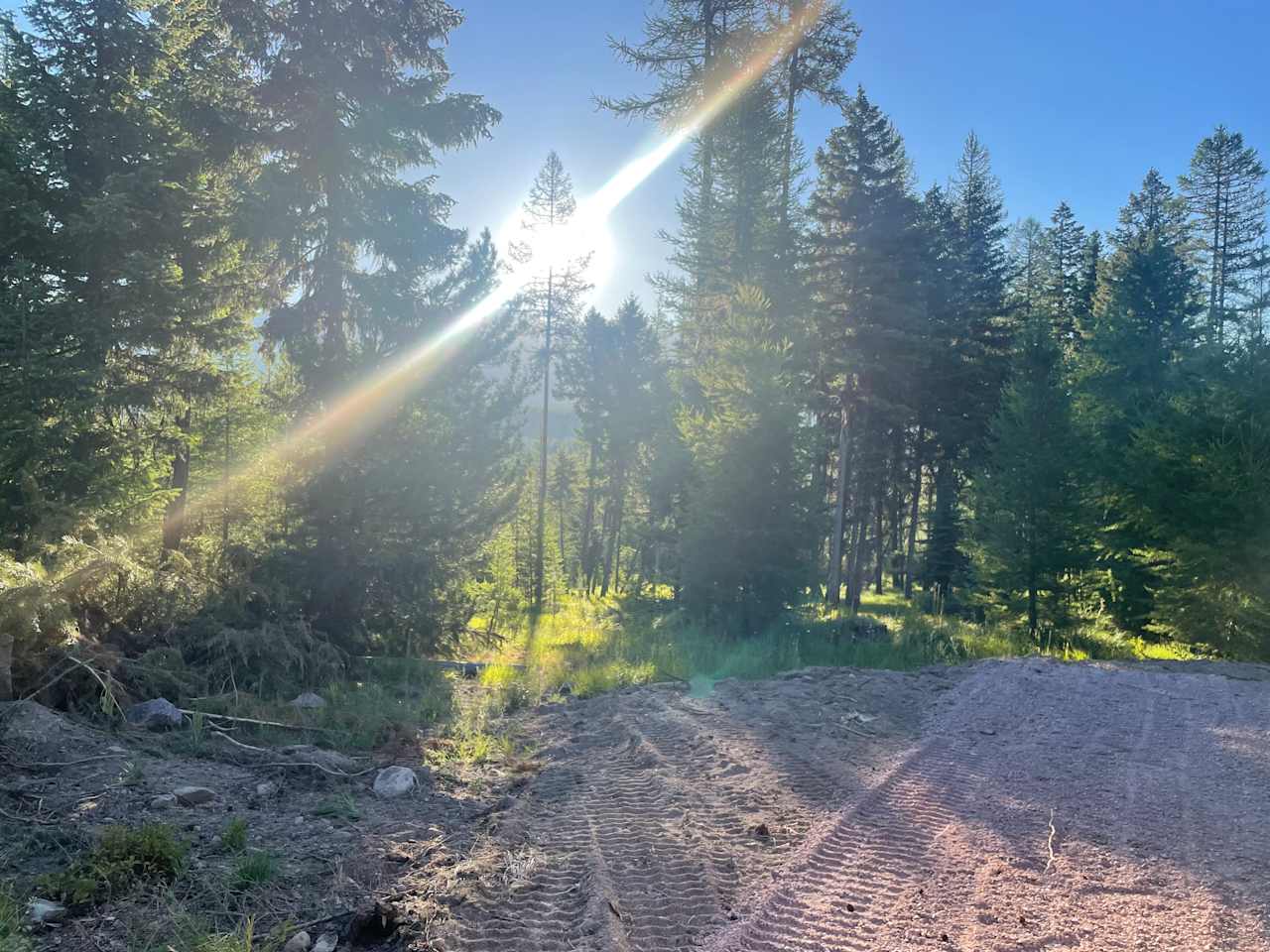 This is tamarack. Named that for the beautiful tamarack tree. This spot has the best views of the mountains. 