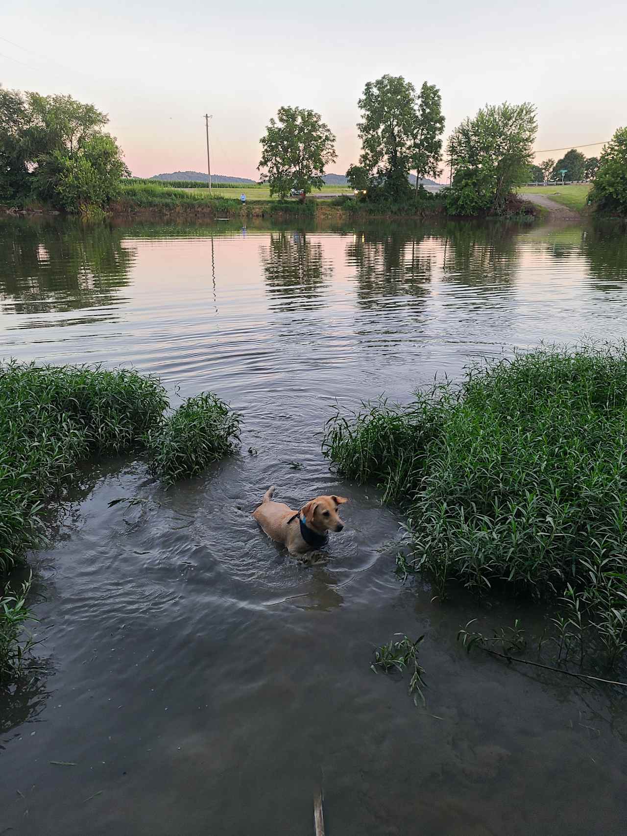 Site view from river