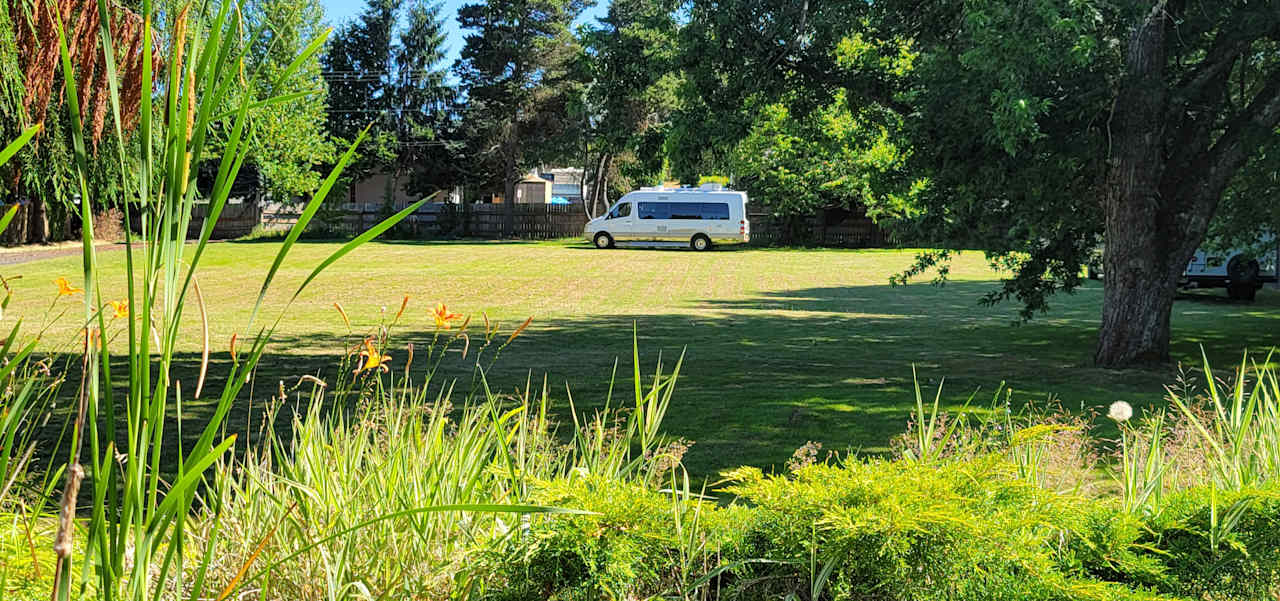 Lots of cool green grass and  blissfully private.