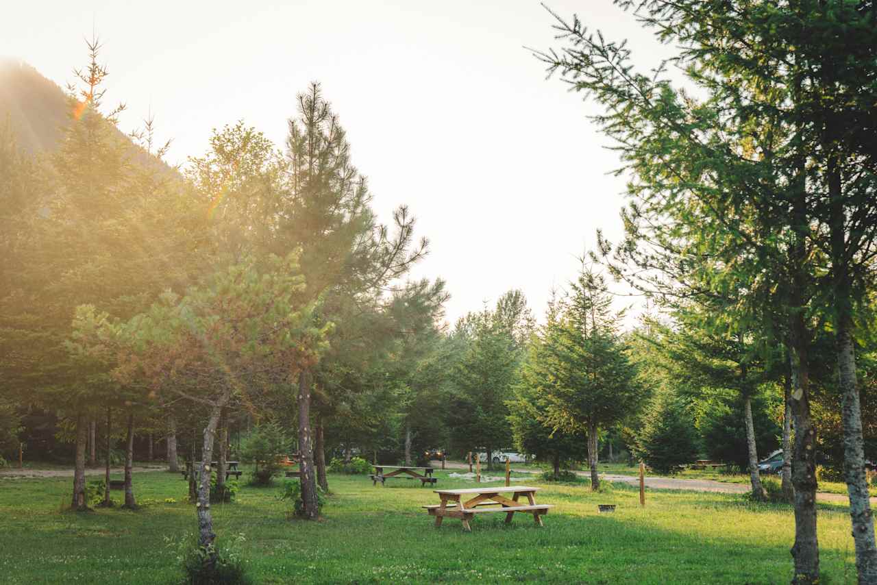 A campground overview.