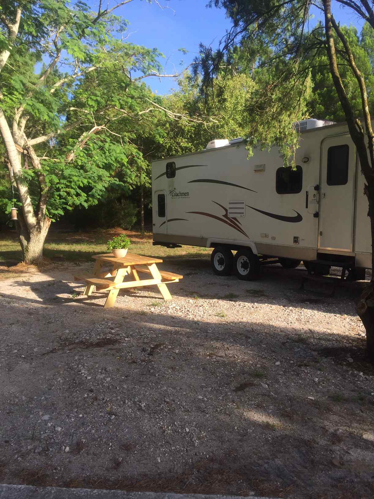 Welcome to Holly Berry Glen! This is what it'll look like when you're all settled in. Each spot has a picnic table, electric (50 and 30 amp), sewer, and water.