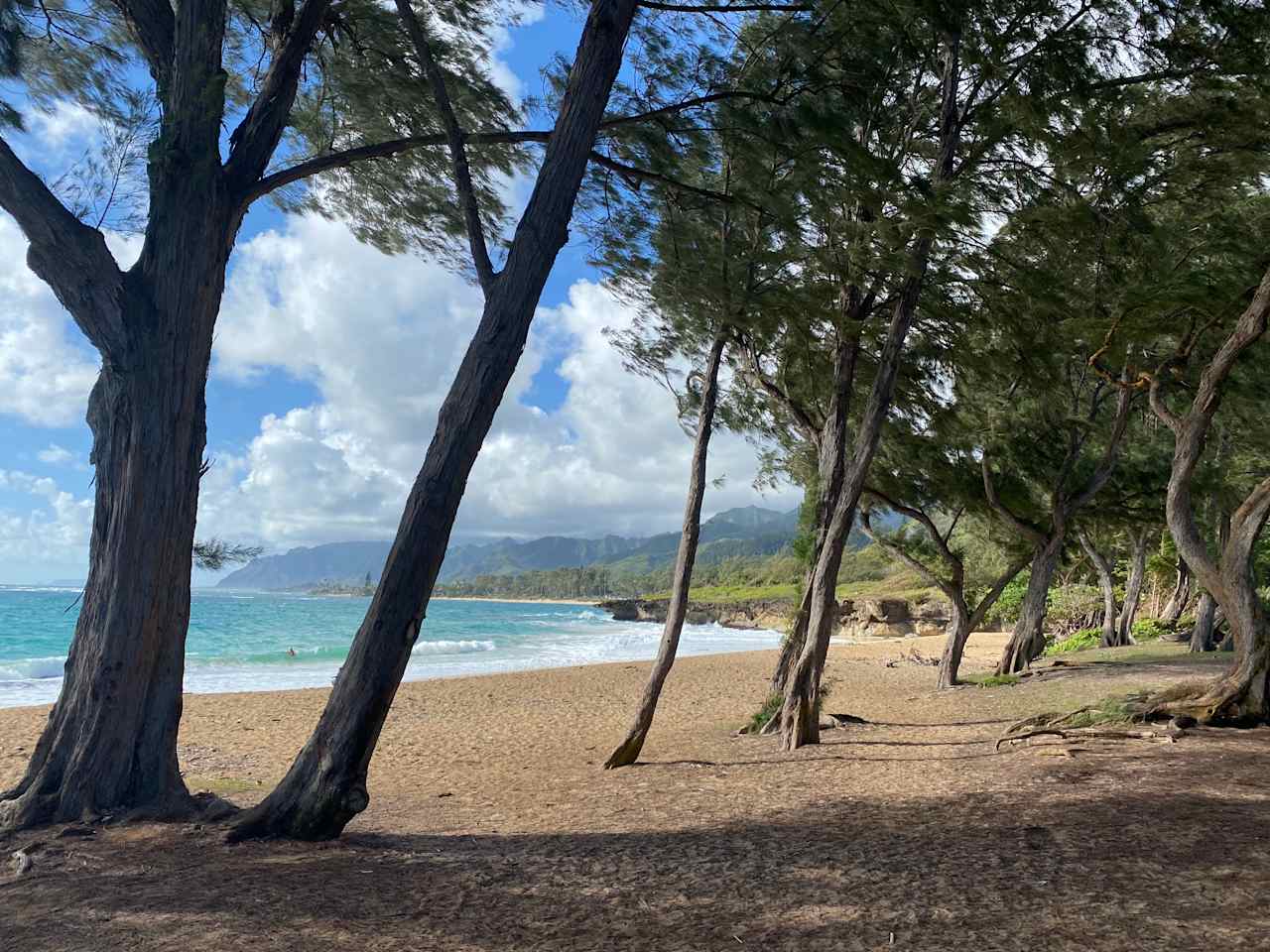 Hau'ula Homestead