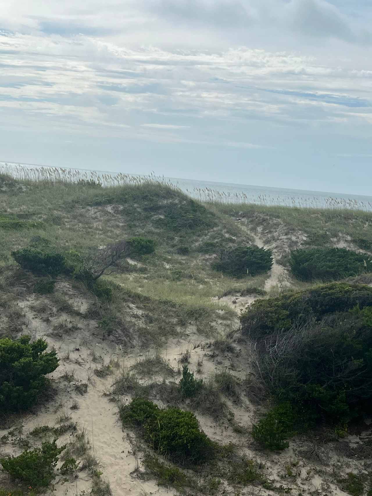 walkway to beach