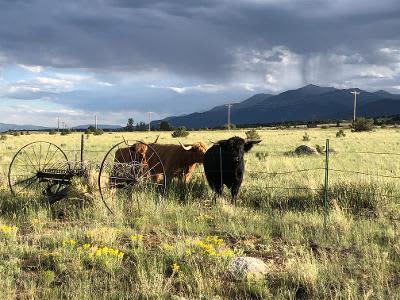 Frenchman's Creek Ranch