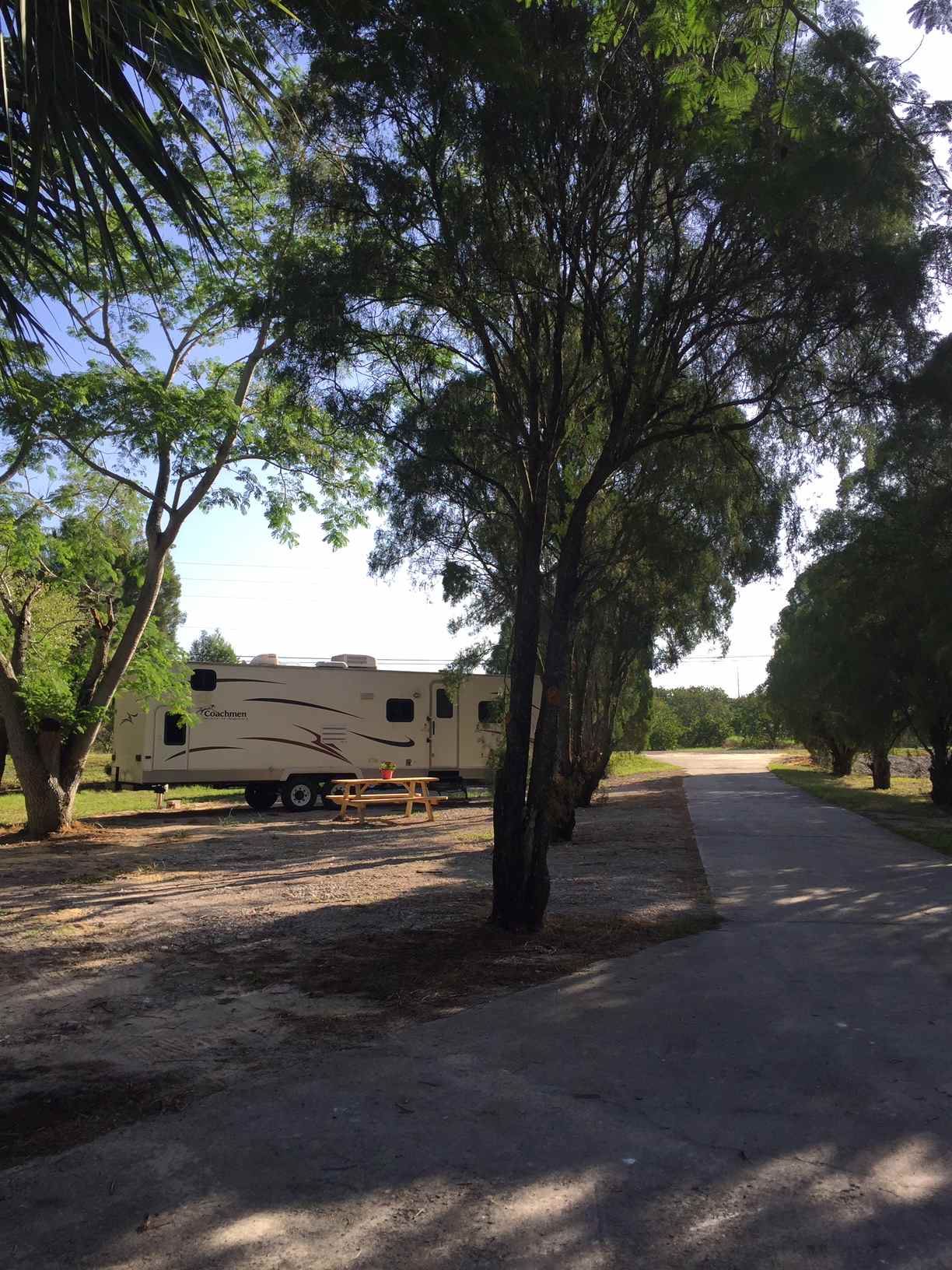 Wide view of the spots as you come out of the entry loop