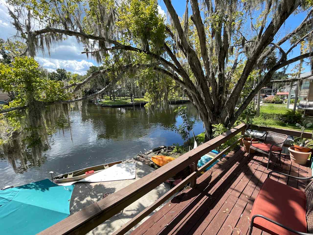 Weeki wachee Sharing the Main river