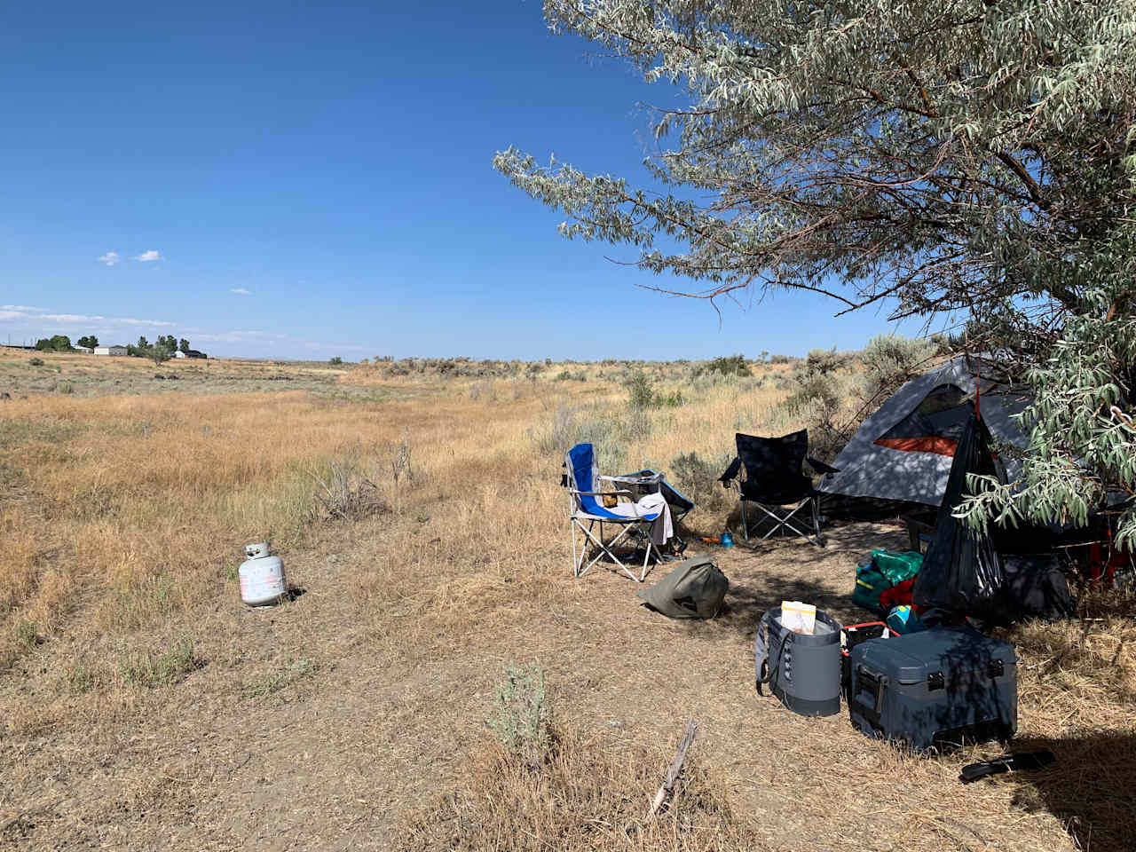 There are a couple trees on the lot that can be used for a little shade. But this is a desert, be prepared. 