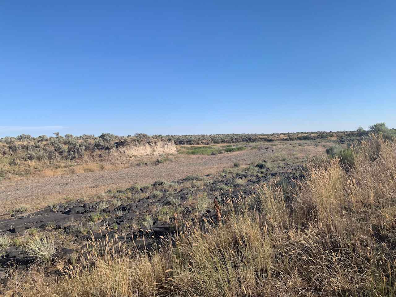 A dry creek bed nearby. Across the way is a nice canal to swim at. You can ask Brittney for directions and a nice quiet swim. 