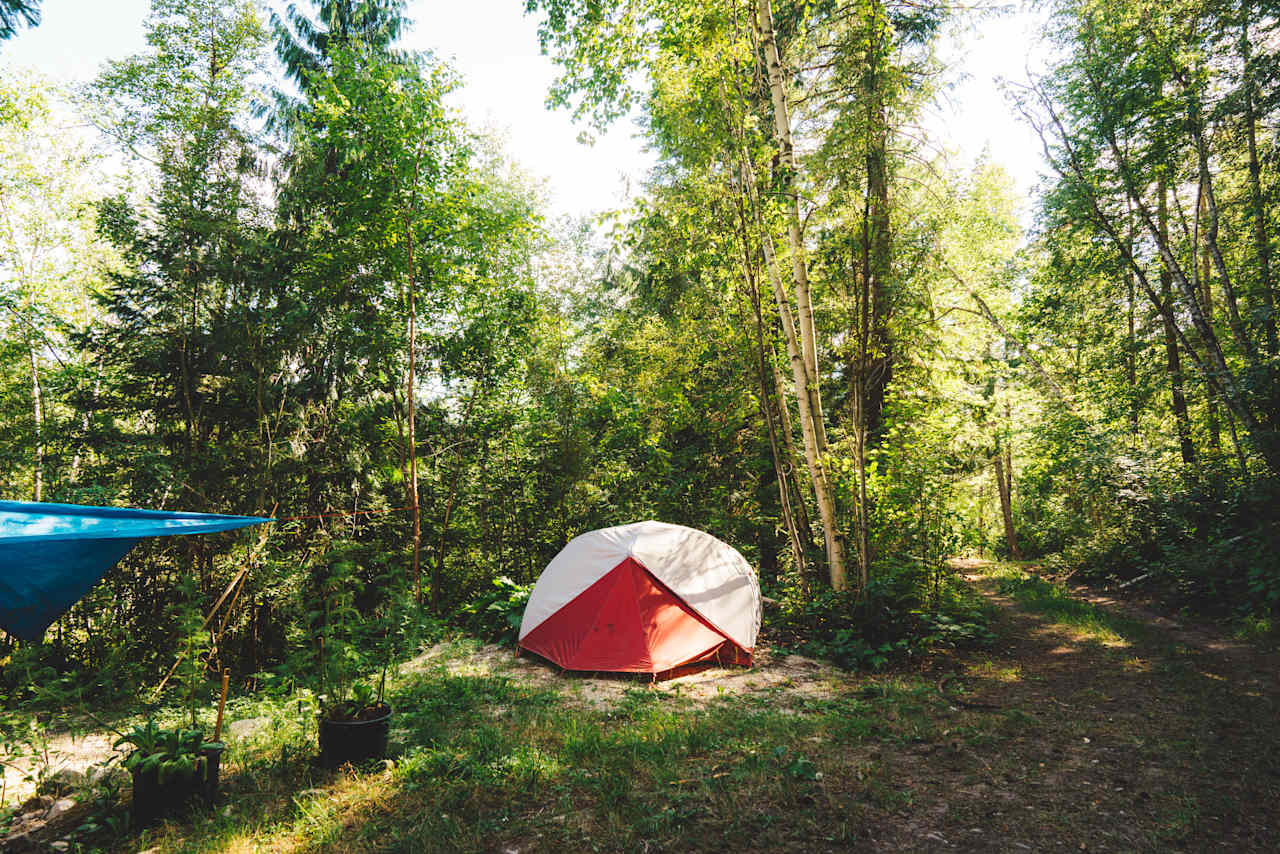 One of the forested, drive-in sites, seemingly occupied by a long-term stay. 