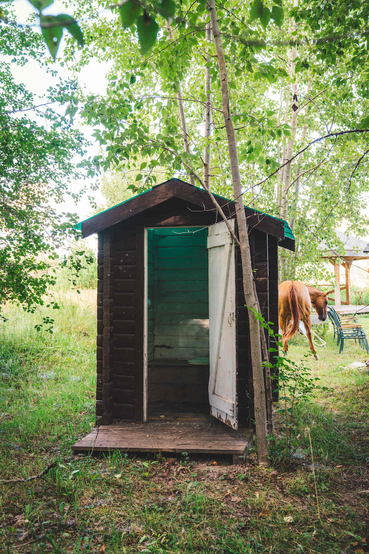 The outhouse at the house-end of the field, near the communal firepit and picnic table. 