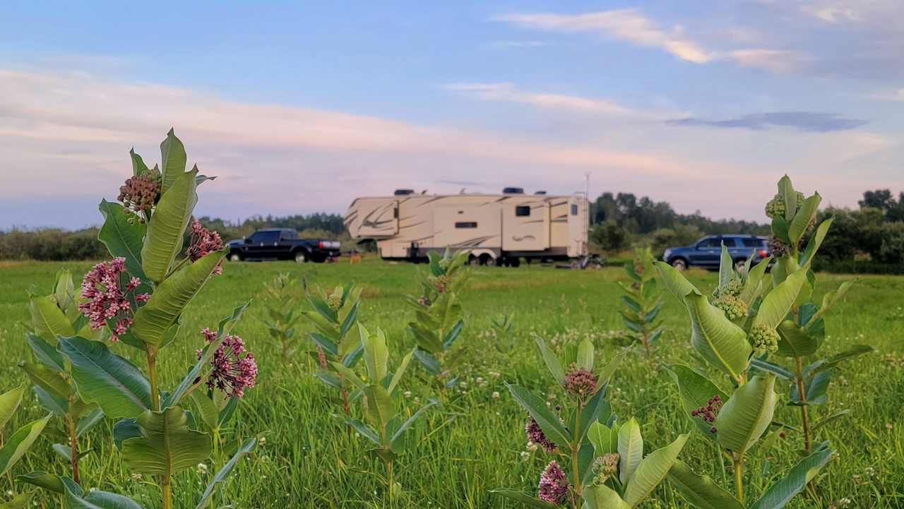 Our first site for the first week. Moved to a 2nd site (under the amazing huge tree) for our next two weeks. Loved them both!