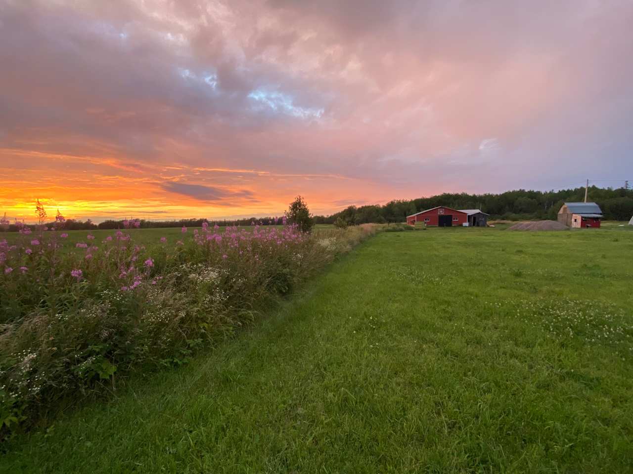 View of the barn from the grass..one option for a tent or camper.