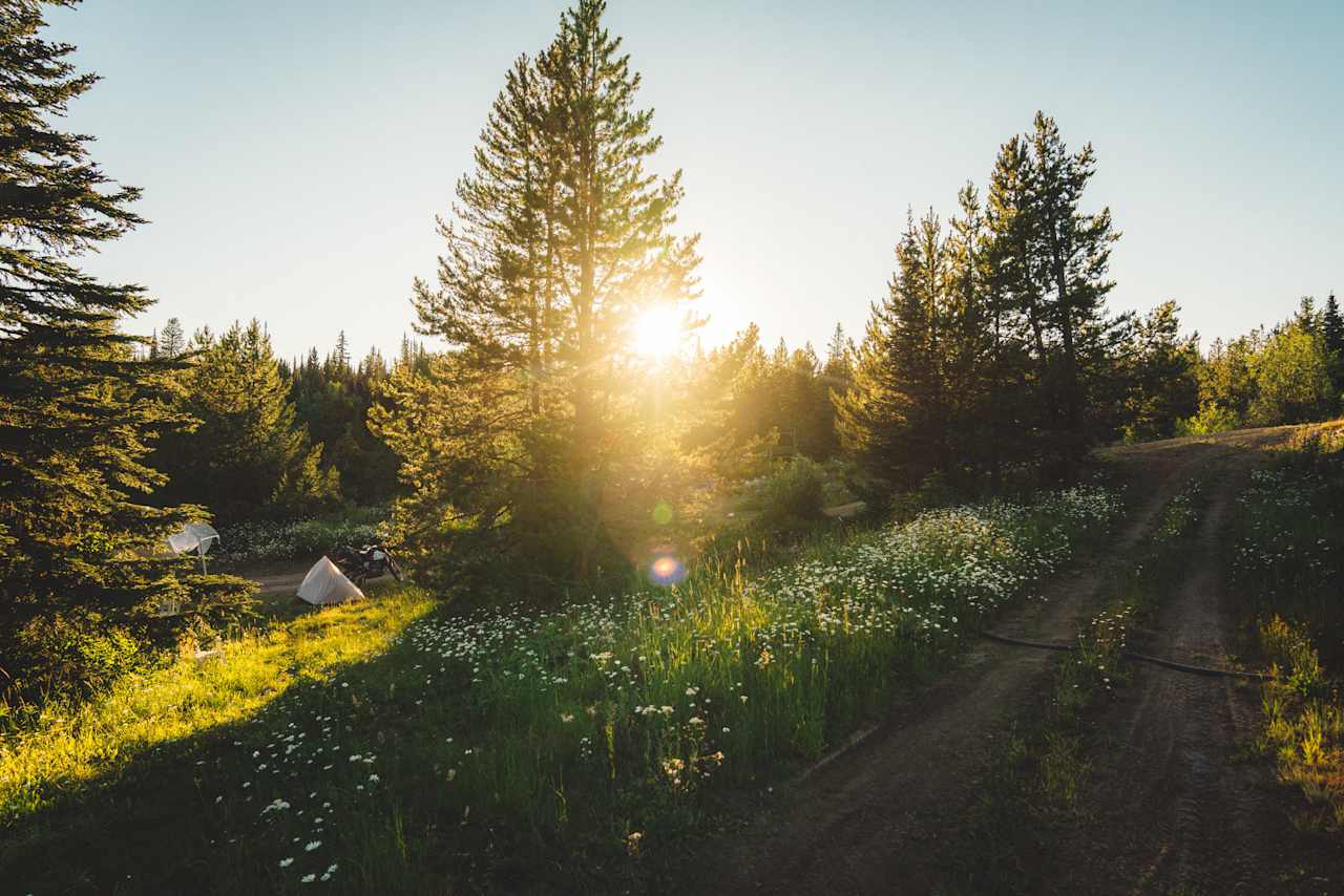 The fields of flowers above the camping area, along the hiking route. 