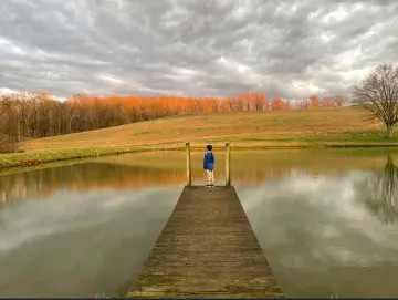 Views of woods, pond, and sunrise