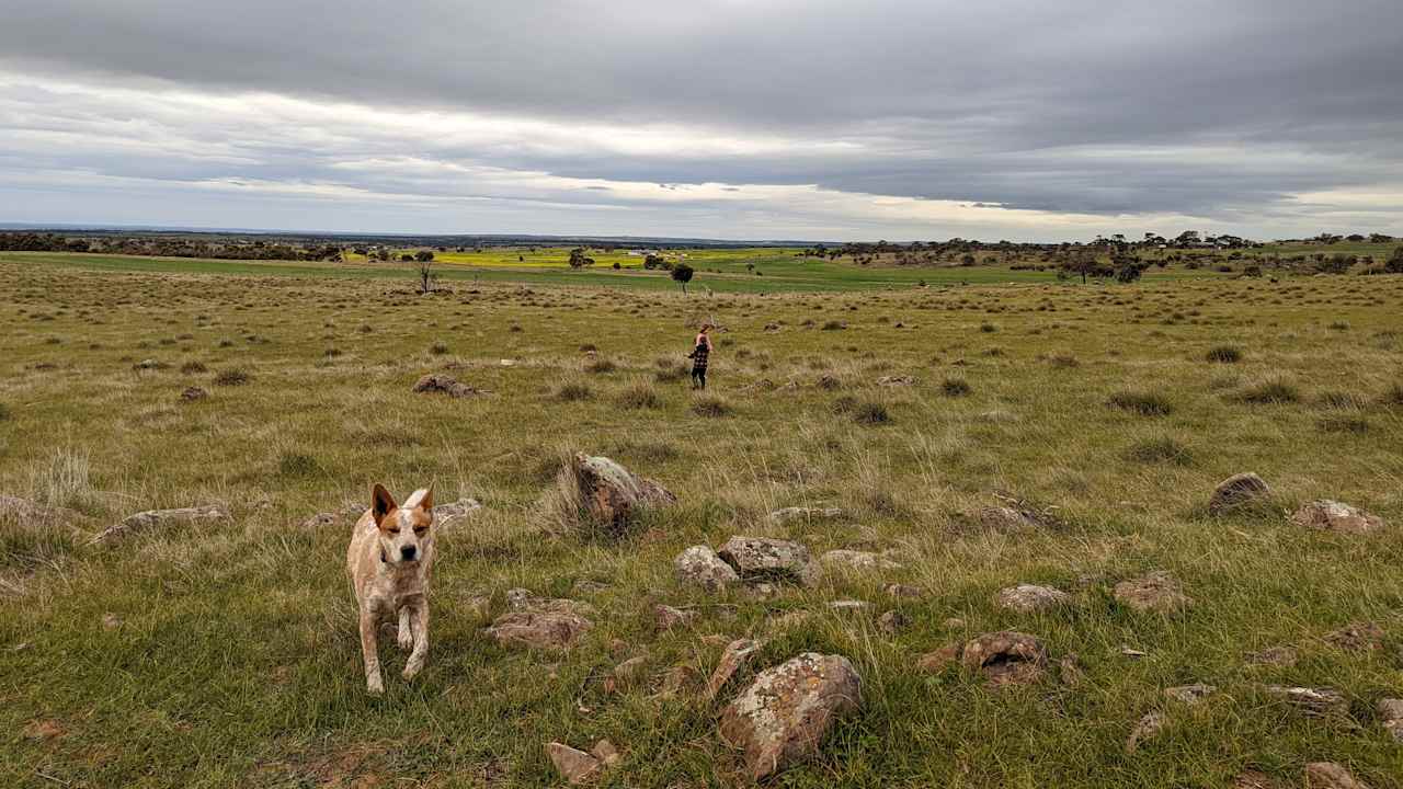 View from lower campground 