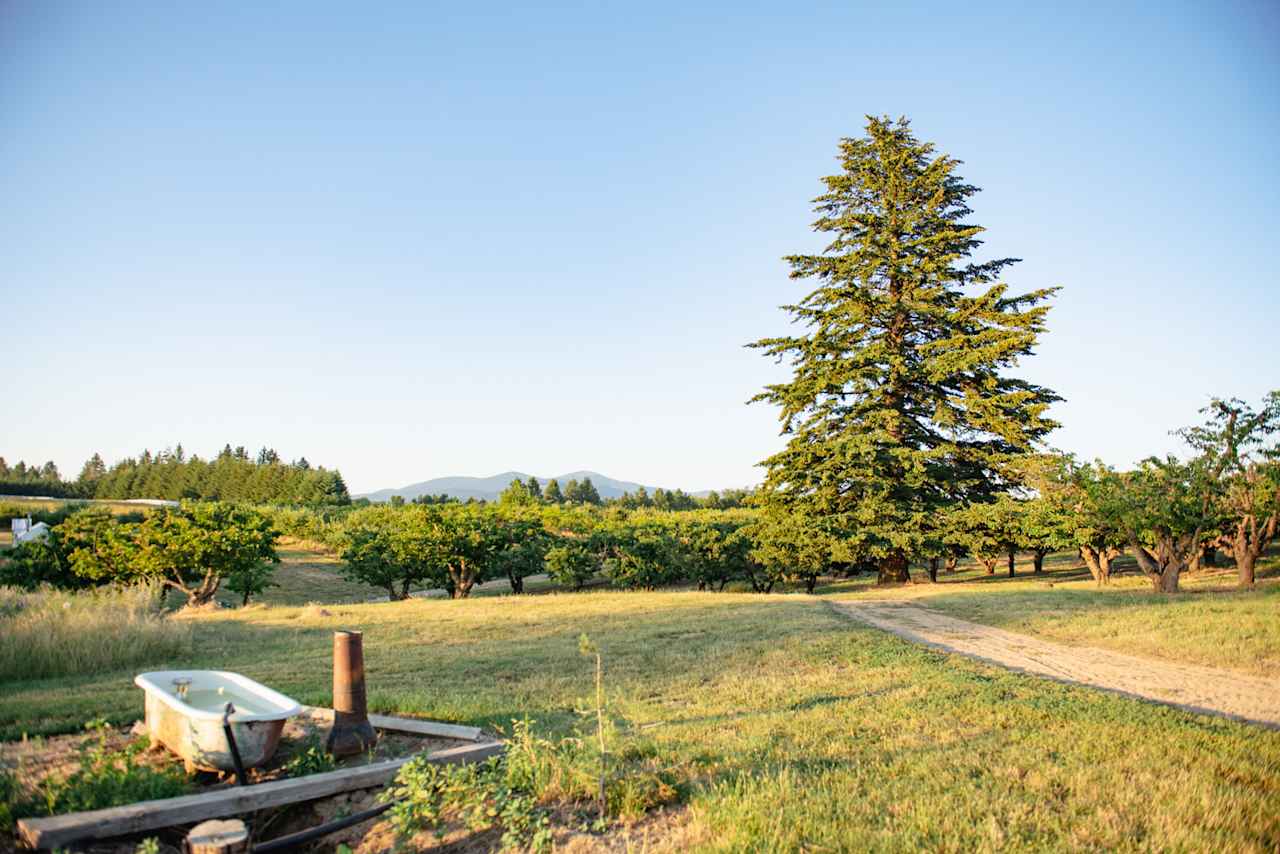 Hidden Acres Orchards