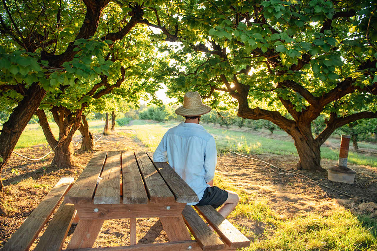 Hidden Acres Orchards