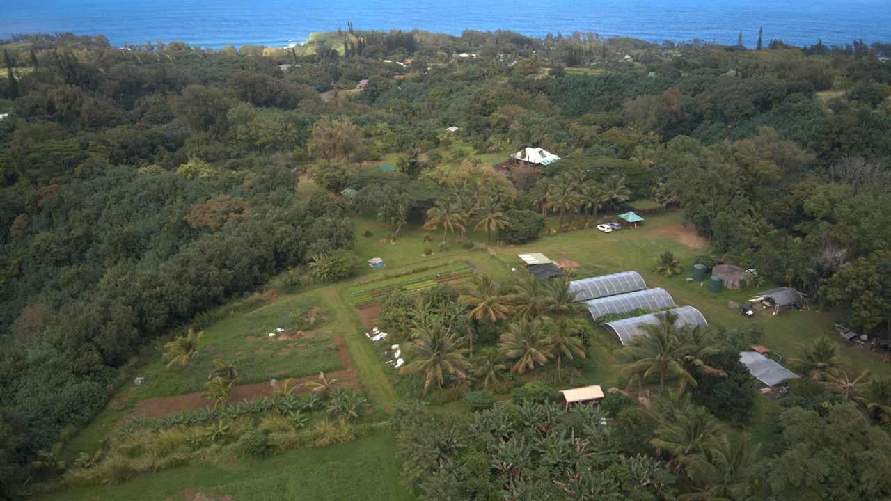 Starseed Ranch: Eco-Retreat & Regenerative Farm