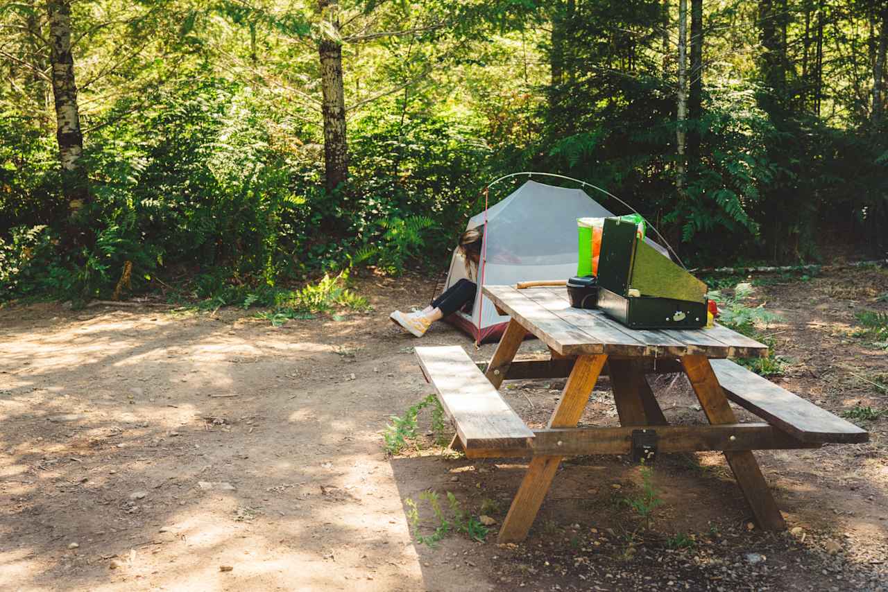 Each site comes equipped with a picnic table. 